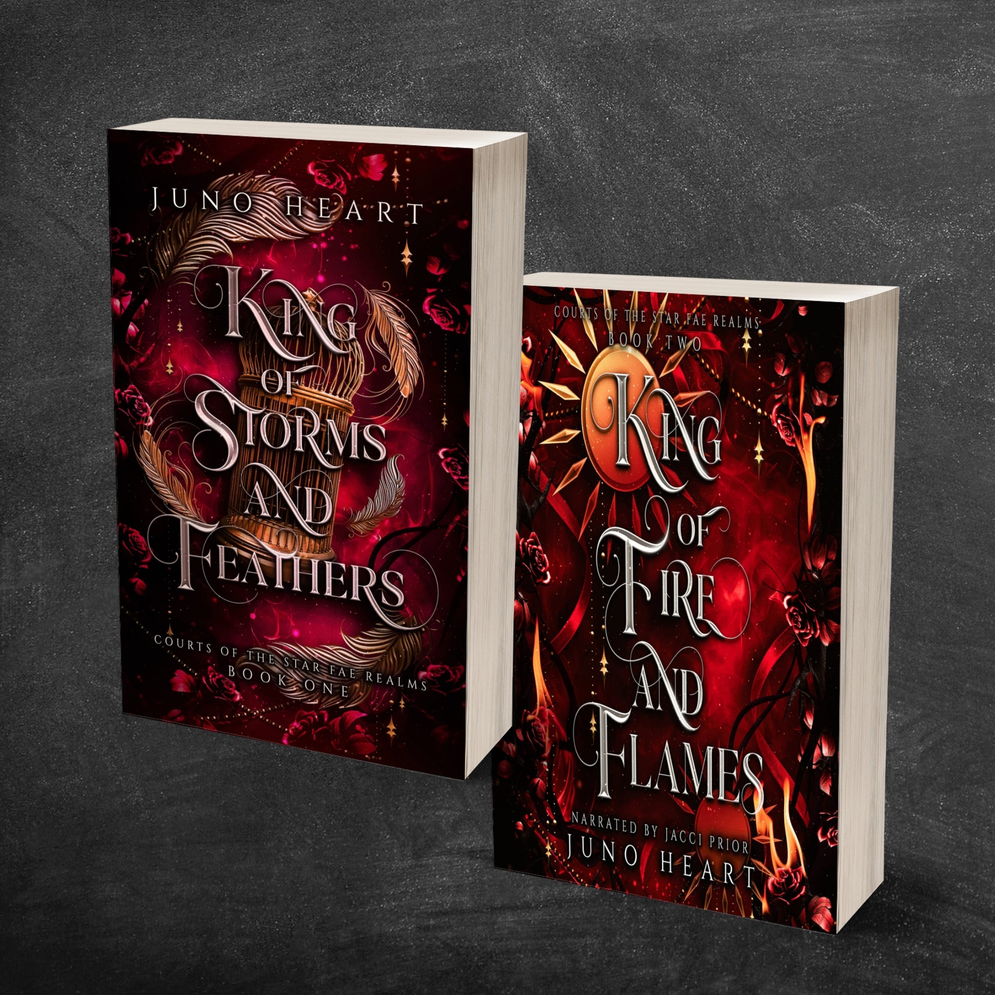 Courts of the Star Fae Realms Paperback bundle buy King of Storms and Feathers and King of Fire and Flames together