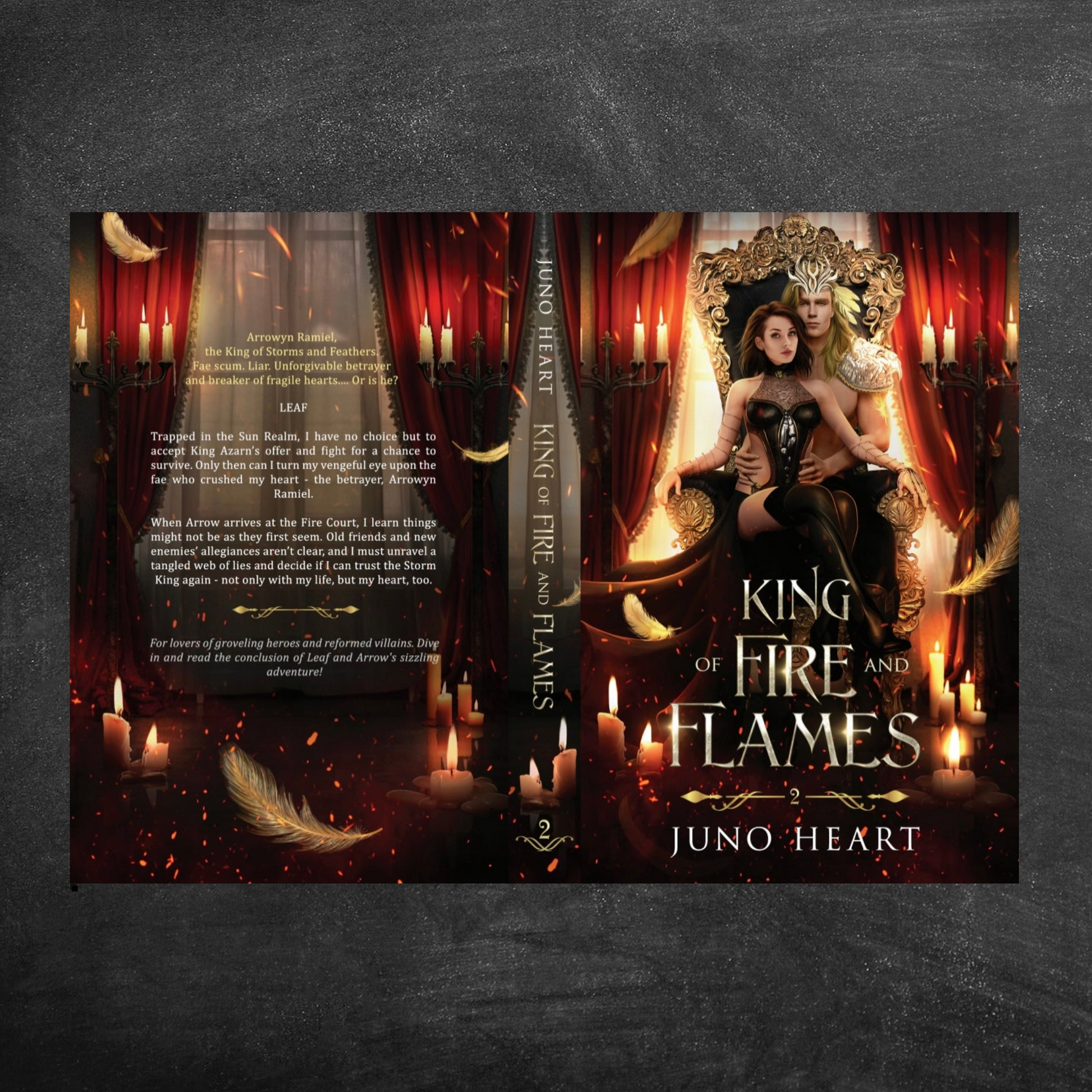 King of Fire and Flames Fae King and Queen Special Edition paperback spread featuring color full-page interior character artwork of Leaf and Arrow