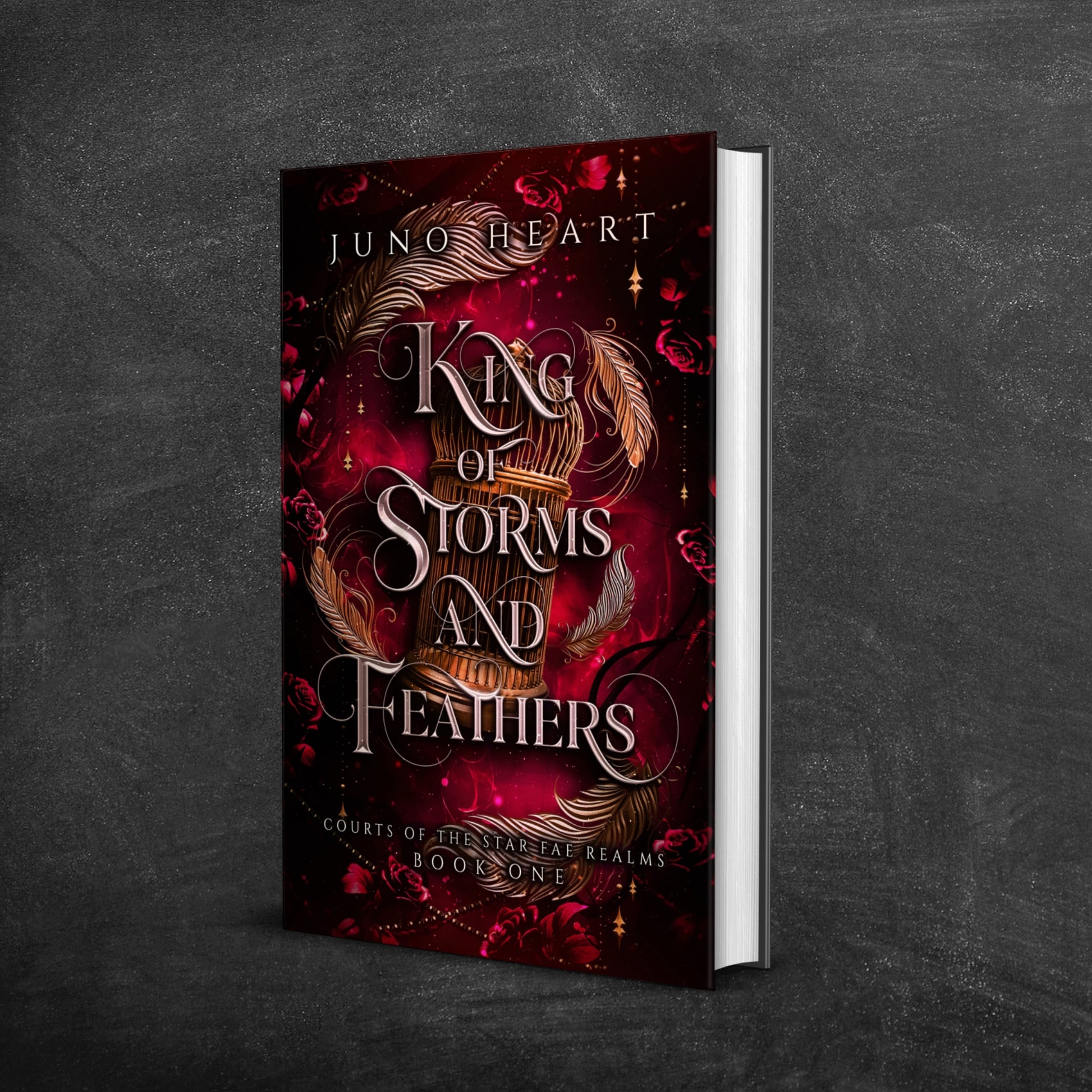 King of Storms and Feathers full color hardback spicy fae fantasy romance book