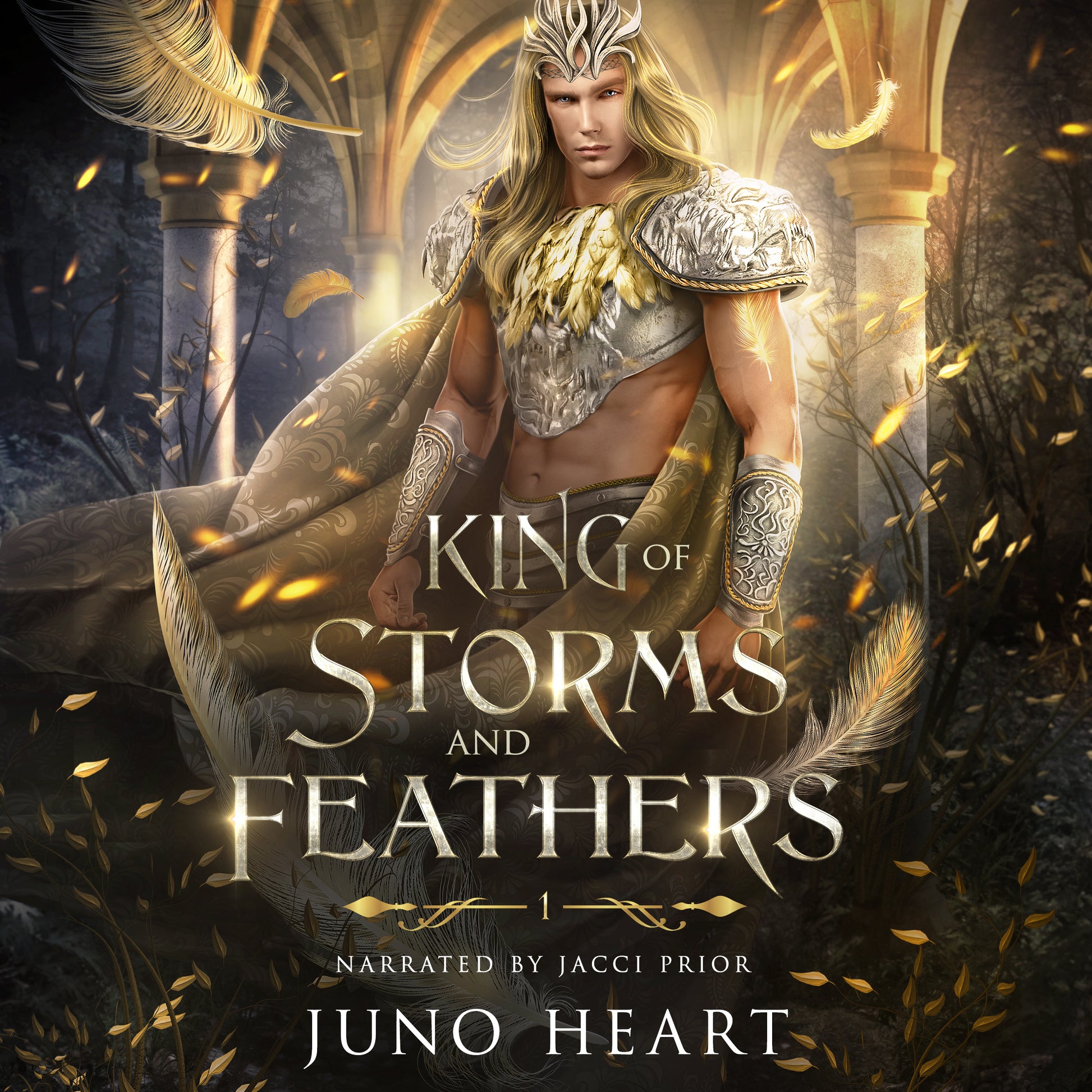 The Fae King Cover Edition of King of Storms and Feathers audiobook