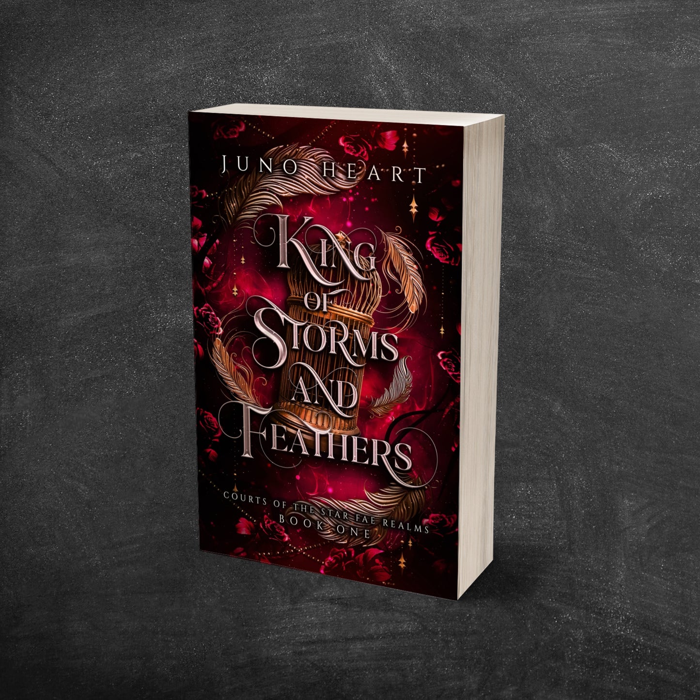 King of Storms and Feathers, a dark fae fantasy romance paperback