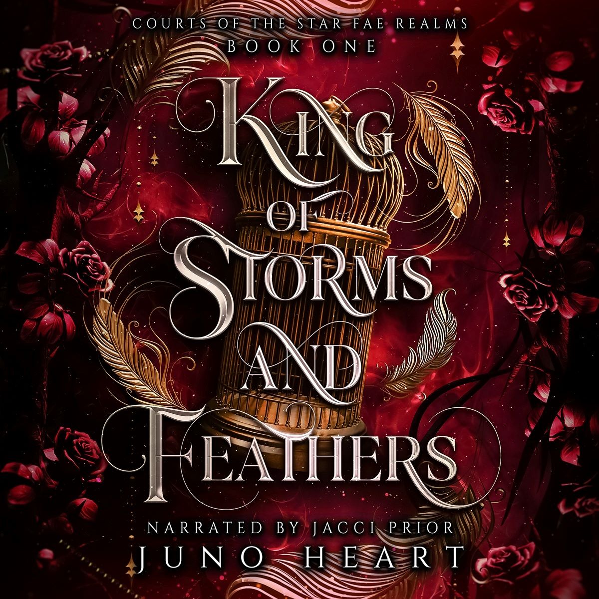 King of Storms and Feathers Audiobook a dark fae fantasy romance